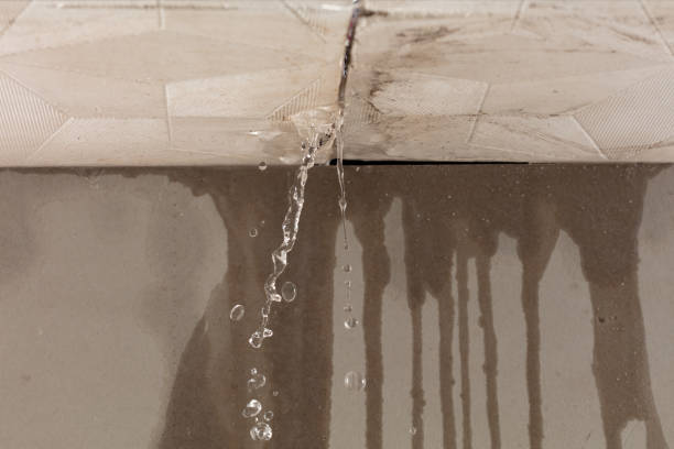 Professional Water Extraction technician working in Altamont, KS